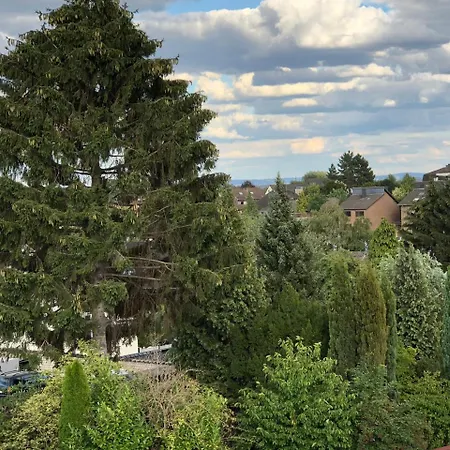 Отель La Musica